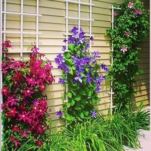 Meet your Posher, Joanne